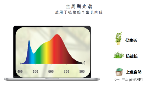 植物生长灯,普通照明灯具,有啥不同