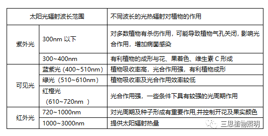 不同,光质,对植物生长,影响