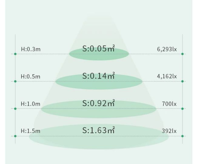 都是植物补光，为什么你的没效果？