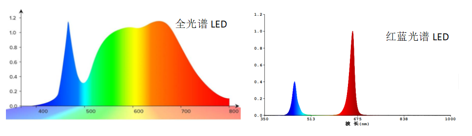 日光温室种植,哪种植物灯更好