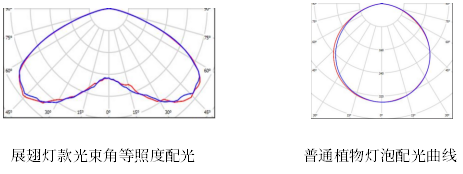 三思,展翅植物灯,助力,温室切菊花,生产